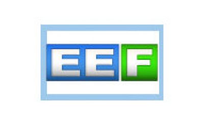 EE Fernsehen Logo